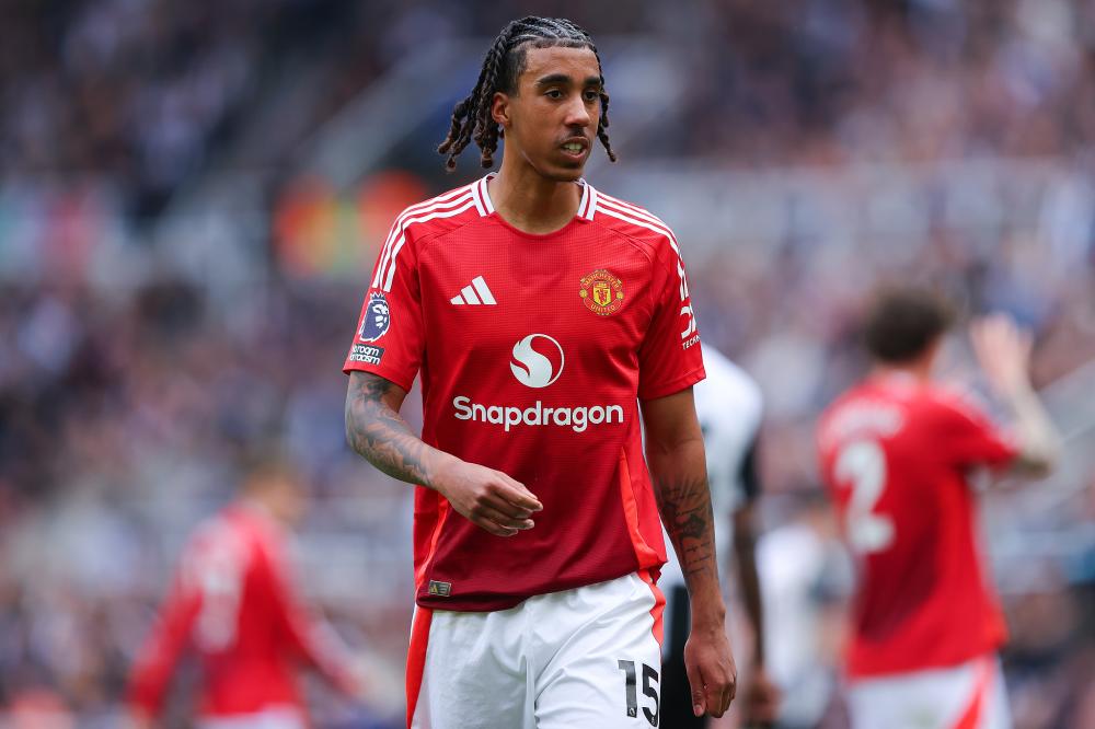 無疑帶來了 無疑帶來了